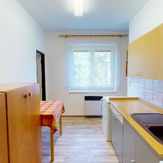 Pronájem bytu 1+1 41 m² Úsobrno