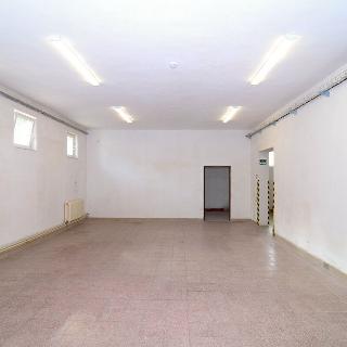 Pronájem výrobního objektu 238 m² Brněnec