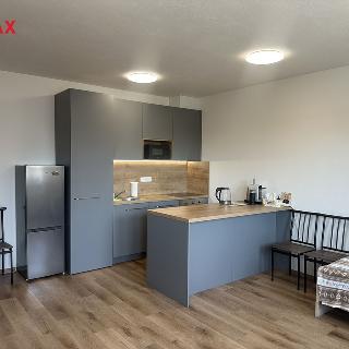 Prodej bytu 1+kk a garsoniéry 37 m² České Budějovice, Krčínova