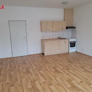 Pronájem bytu 1+kk a garsoniéry 37 m² Strakonice, Lidická