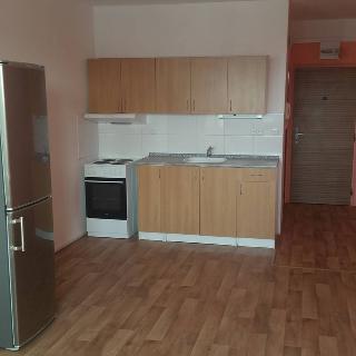 Pronájem bytu 1+kk a garsoniéry 28 m² Strakonice, Stavbařů