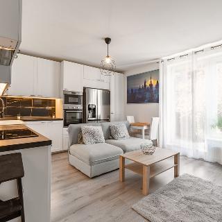 Pronájem bytu 1+kk a garsoniéry 38 m² Praha, Smetáčkova