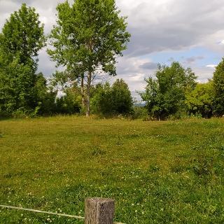 Prodej stavební parcely 7 880 m² Mladějov na Moravě