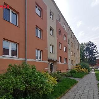 Pronájem bytu 3+1 64 m² Svitavy, Chelčického