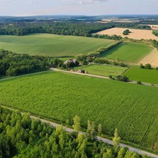 Prodej komerčního pozemku 76 524 m² Pňovany