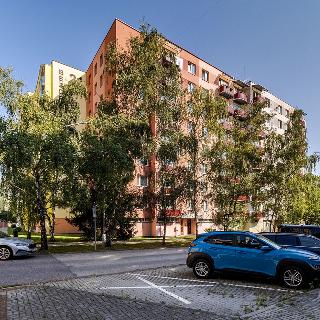 Prodej bytu 3+1 79 m² České Budějovice, Bezdrevská