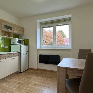 Pronájem bytu 1+1 31 m² Lipno nad Vltavou, 