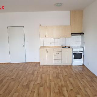 Pronájem bytu 1+kk a garsoniéry 37 m² Strakonice, Lidická