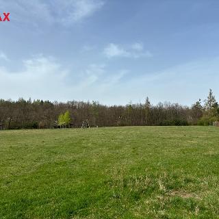 Prodej stavební parcely 13 235 m² Líšnice