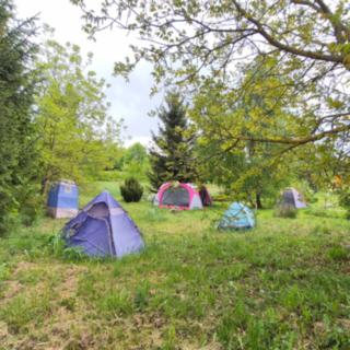 Prodej zahrady 1 492 m² Gruna