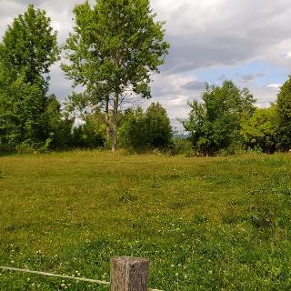 Prodej stavební parcely 7880 m² Mladějov na Moravě