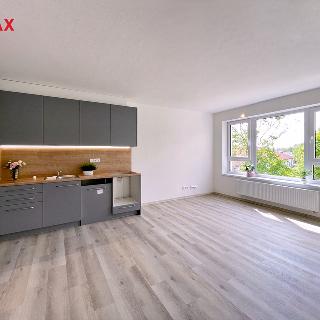 Pronájem bytu 4+kk 80 m² České Budějovice, Krčínova