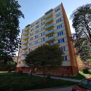 Pronájem bytu 2+1 53 m² České Budějovice, L. M. Pařízka