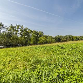 Prodej stavební parcely 1 909 m² Zvěstov