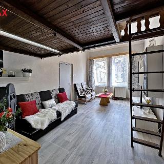 Prodej bytu 2+1 55 m² České Budějovice, Riegrova