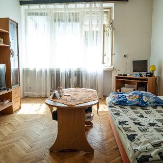 Prodej bytu 1+kk a garsoniéry 28 m² Hradec Králové, Nerudova