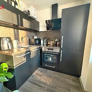 Pronájem bytu 1+1 33 m² Pardubice, Dašická