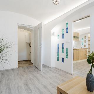 Pronájem ostatního komerčního prostoru 40 m² Praha, Davídkova