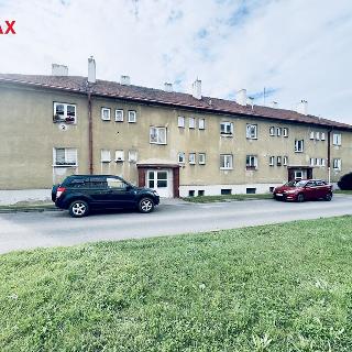 Pronájem bytu 2+1 59 m² Staňkovice, Sídliště