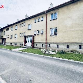 Pronájem bytu 2+1 59 m² Staňkovice, Sídliště