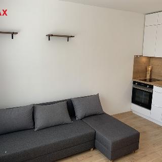 Pronájem bytu 1+kk a garsoniéry 22 m² Louny, Jana Švermy