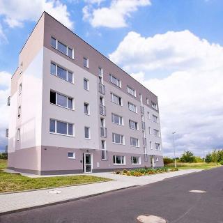 Pronájem bytu 2+kk 36 m² Žatec, Husova