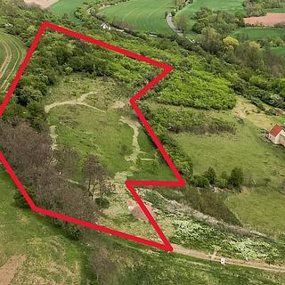 Prodej ostatních pozemků 12056 m&sup2; Holedeč