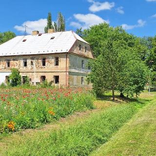 Prodej rodinného domu 500 m² Veliká Ves, 