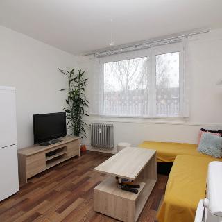 Pronájem bytu 1+1 36 m² Žatec, V Zahradách