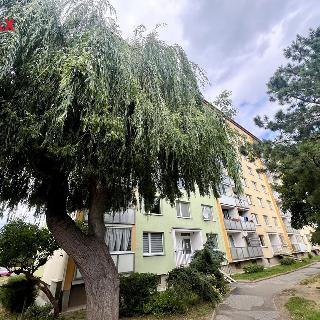 Prodej bytu 3+1 83 m² Chomutov, Jirkovská