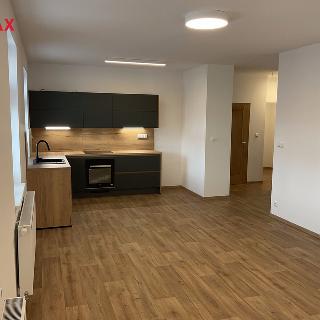 Pronájem bytu 3+kk 80 m² Chomutov, Vršovců