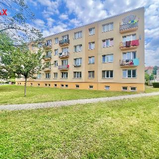 Prodej bytu 2+1 53 m² Žatec, Hájkova