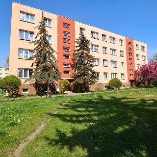 Prodej bytu 2+1 53 m² Žatec, Hájkova