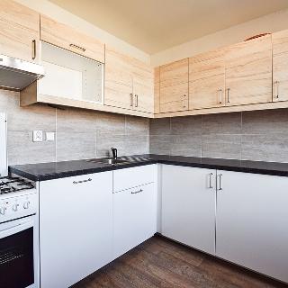 Pronájem bytu 2+1 60 m² Žatec, Studentská