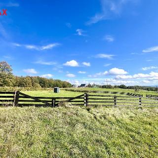 Prodej stavební parcely 2 000 m² Křimov