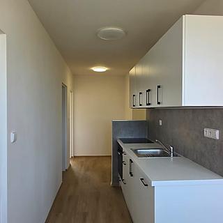Pronájem bytu 3+1 68 m&sup2; Louny