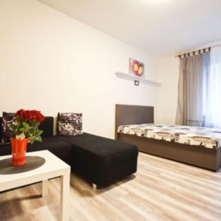 Pronájem bytu 1+kk a garsoniéry 23 m² Žatec, V Zahradách
