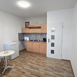 Pronájem bytu 1+kk, garsoniery 20 m&sup2; Postoloprty