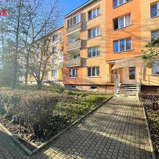 Prodej bytu 2+1 52 m² Žatec, U Jezu