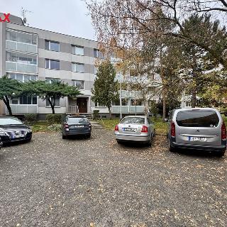 Prodej bytu 3+1 73 m² Žatec, Černobýla