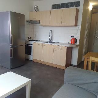 Pronájem bytu 1+1 34 m² Brno, Žitná