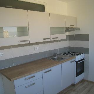 Pronájem bytu 2+1 62 m² Brno, Božetěchova