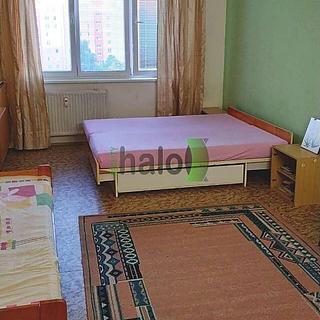 Pronájem bytu 1+kk, garsoniery České Budějovice