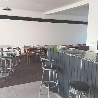 Pronájem restaurace 60 m² České Budějovice, Novohradská