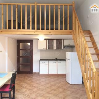 Pronájem bytu 1+kk a garsoniéry 46 m² Hradec Králové, Dlouhá