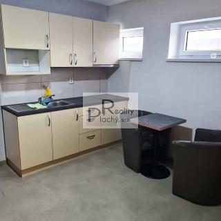 Pronájem bytu 1+kk a garsoniéry 42 m² Nový Šaldorf-Sedlešovice