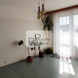 Prodej bytu 4+1 90 m² Hrušovany nad Jevišovkou, Mlýnská