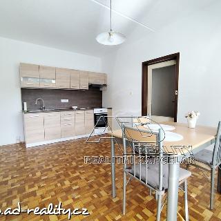 Prodej bytu 2+kk 45 m² České Budějovice, 