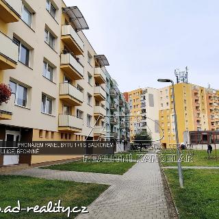 Pronájem bytu 1+1 39 m² Bechyně, Písecká