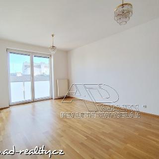 Pronájem bytu 2+kk 50 m² České Budějovice, Jar. Haška